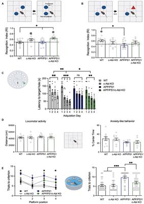 c-Abl tyrosine kinase down-regulation as target for memory improvement in Alzheimer’s disease